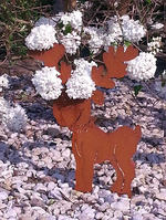 Rudolf erfreut zur Weihnachtszeit Groß & Klein.